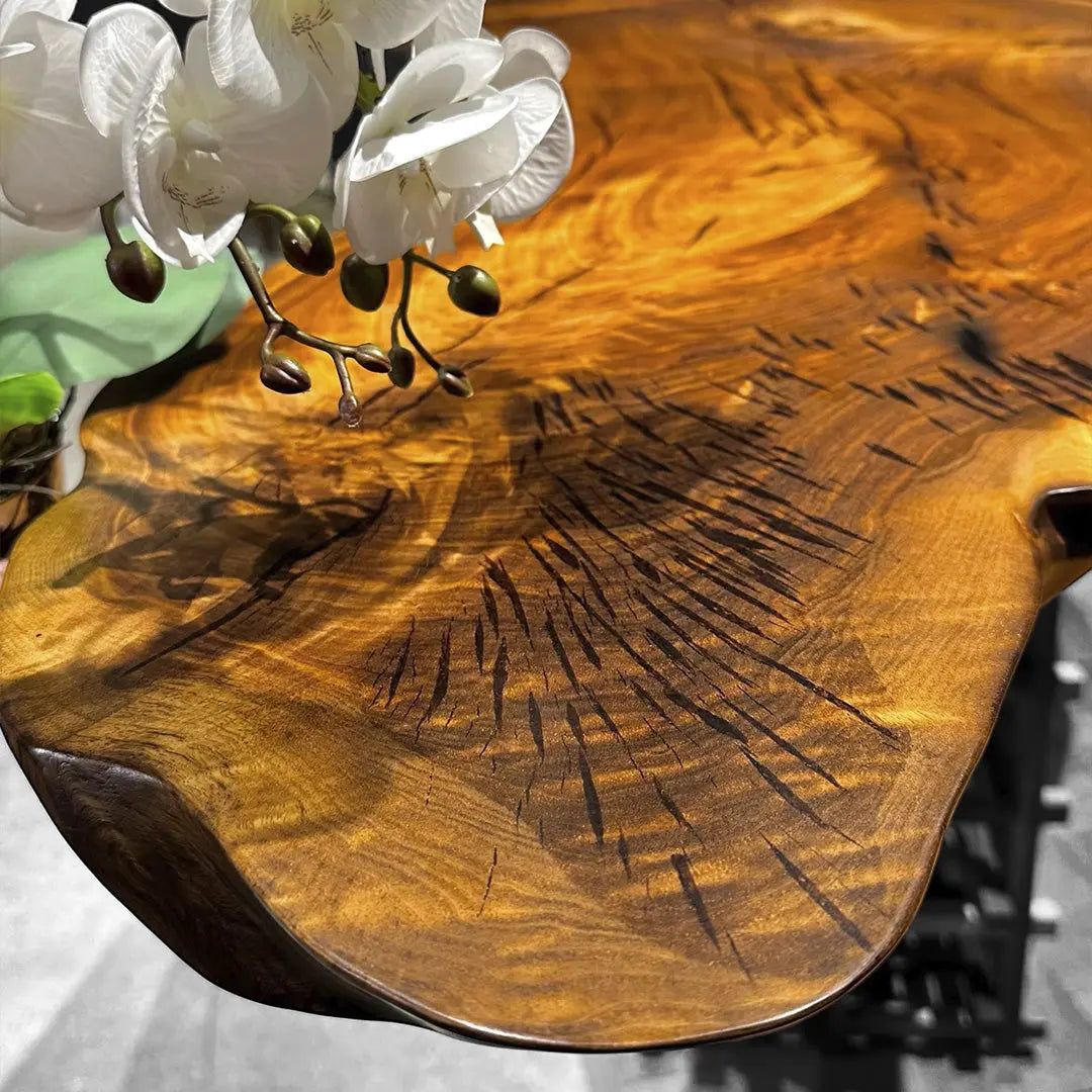 Paris Unique Walnut Live Edge Slab Art Table 34" x 124" - Holzsch