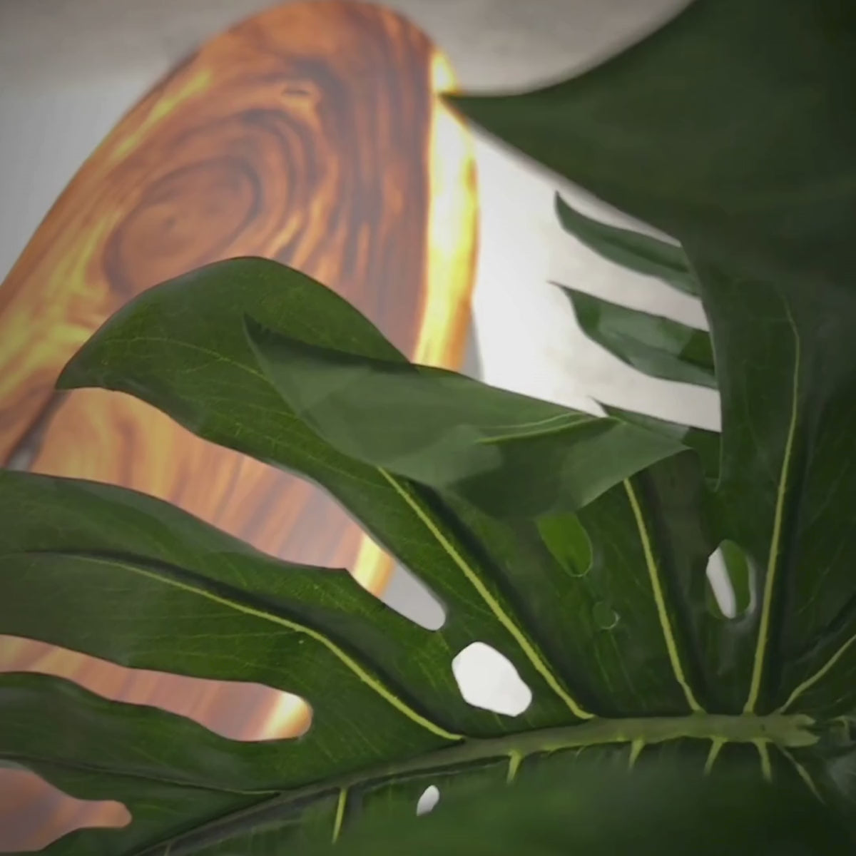 Surfer Saman Coffee Table